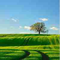 免​费‍算‌法﻿分﻿析‌系‌统‌