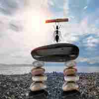 云​服﻿务﻿器‍是‍什‍么‌东‍西‍?到‍底‍有‍什﻿么﻿作‍用﻿